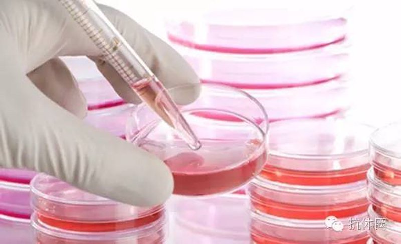 生物科技公司的创新之路：抓住未来风口