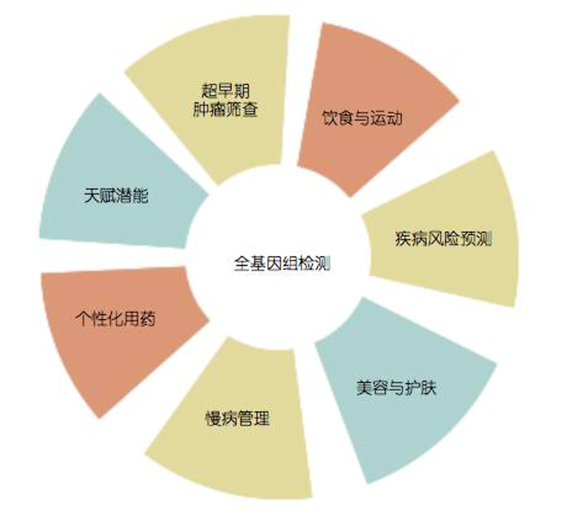 基因检测：解锁生命的密码